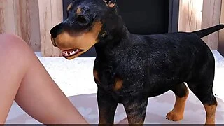 xnxx 27